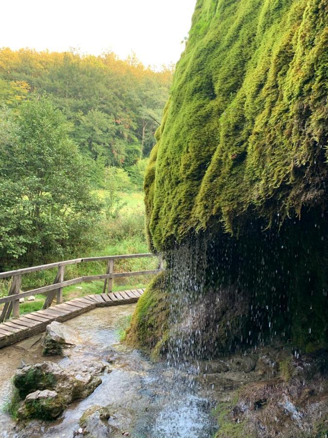 Ferienhaus Backesgarten Fuer 22 Personen Neichen ภายนอก รูปภาพ